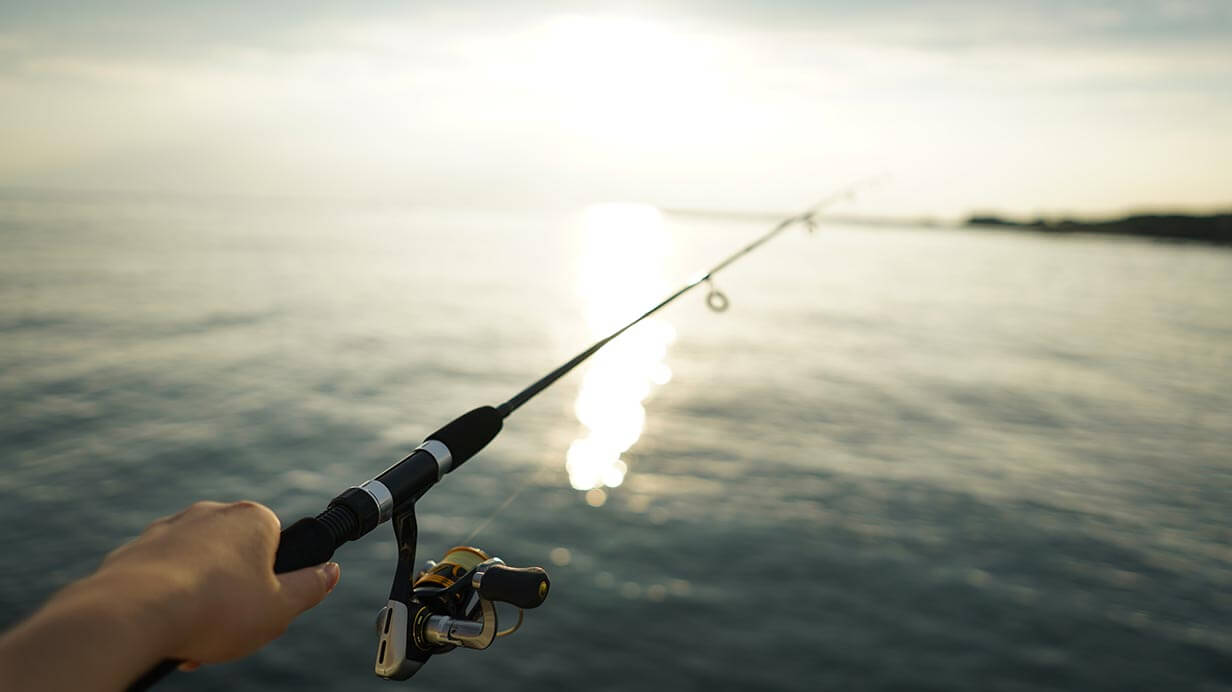 Which is more Versatile Rods? Seabass Rods VS Eging Rods - Seabass Rods  and Recommended - Japan Fishing and Tackle News